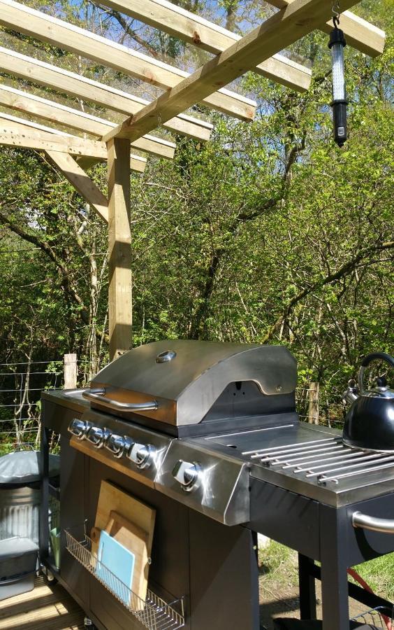 Snowdonia Shepherds' Huts Conwy Exteriér fotografie