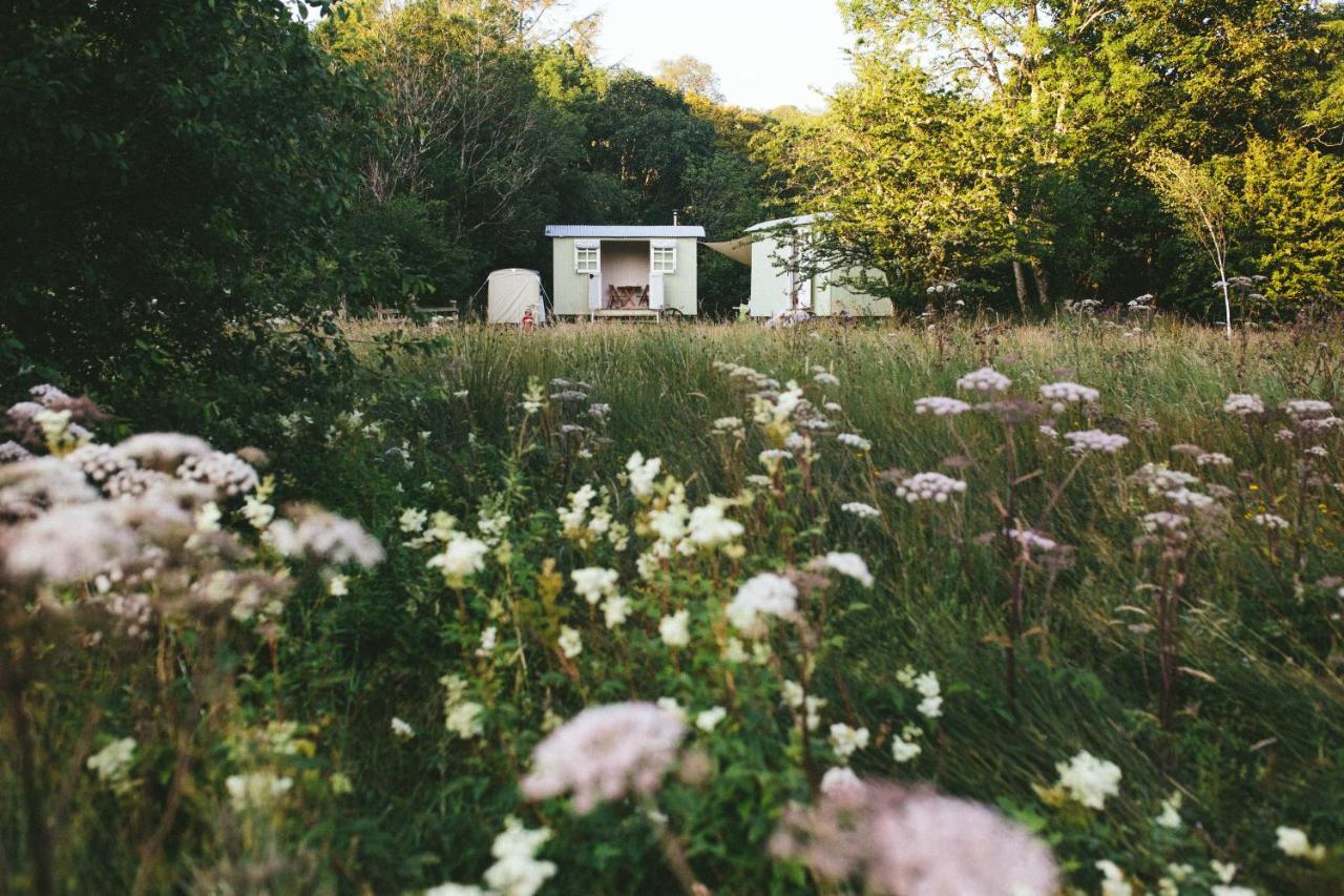 Snowdonia Shepherds' Huts Conwy Exteriér fotografie
