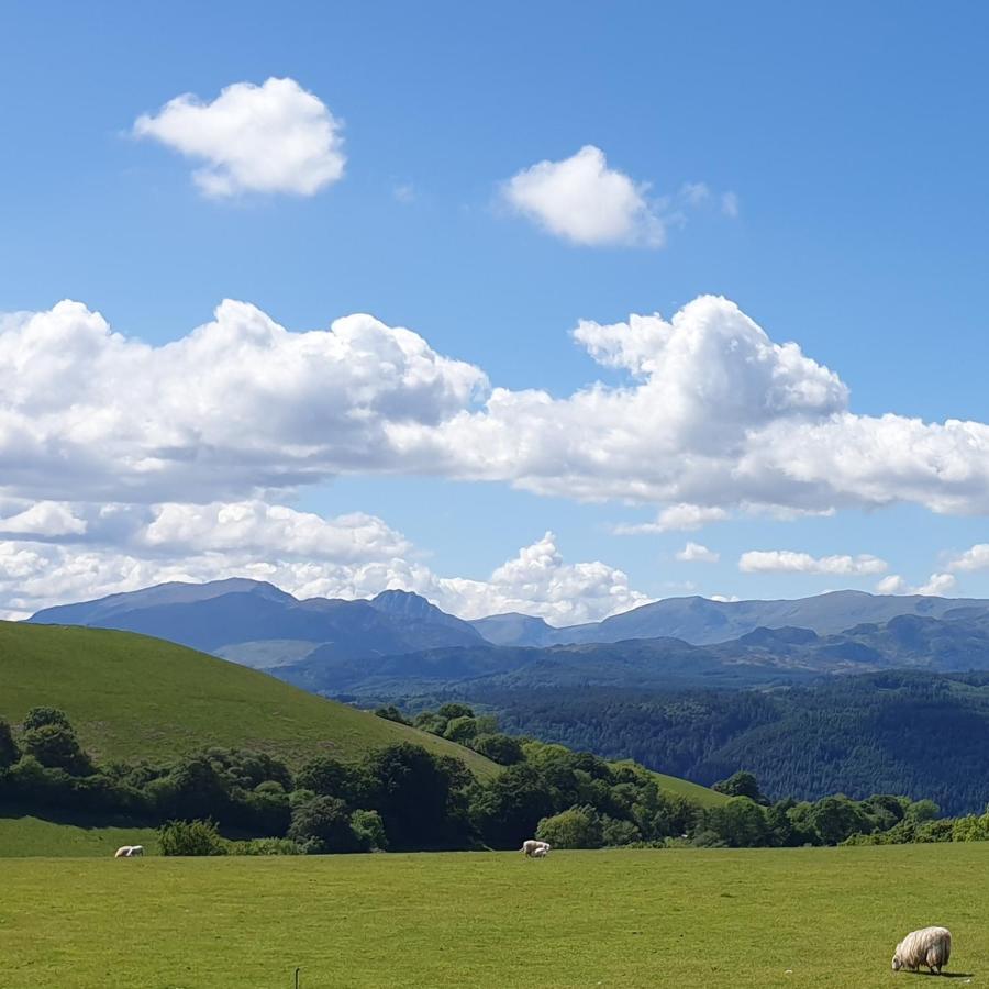 Snowdonia Shepherds' Huts Conwy Exteriér fotografie